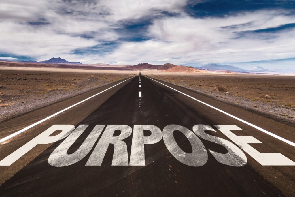 ENTREPRENEURIAL IKIGAI: HOW FINDING YOUR PURPOSE CAN DRIVE SUCCESS